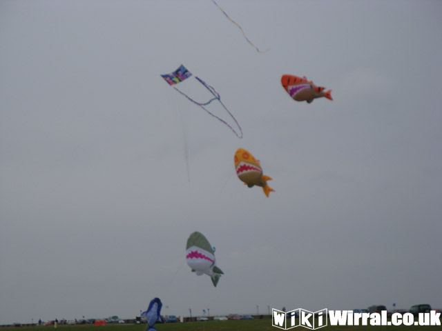 Attached picture Kite 7.jpg